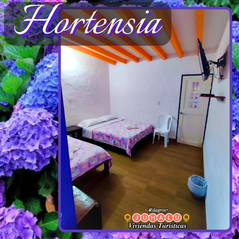 Hotel ᒍᑌᕼᗩᒪᑌ Jericoc  Habitación foto