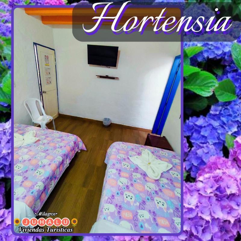 Hotel ᒍᑌᕼᗩᒪᑌ Jericoc  Habitación foto